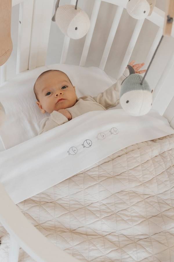 9635adc0e4fcd3ce344481b99524ca5dc6ed6ec6