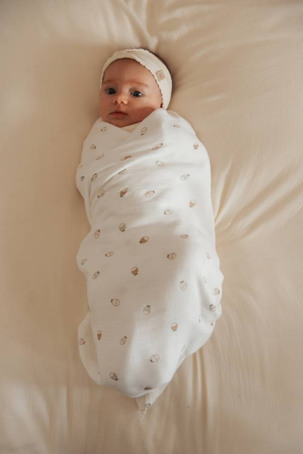 e85f378589564ba779a4bc9cb9273d568fe352bb