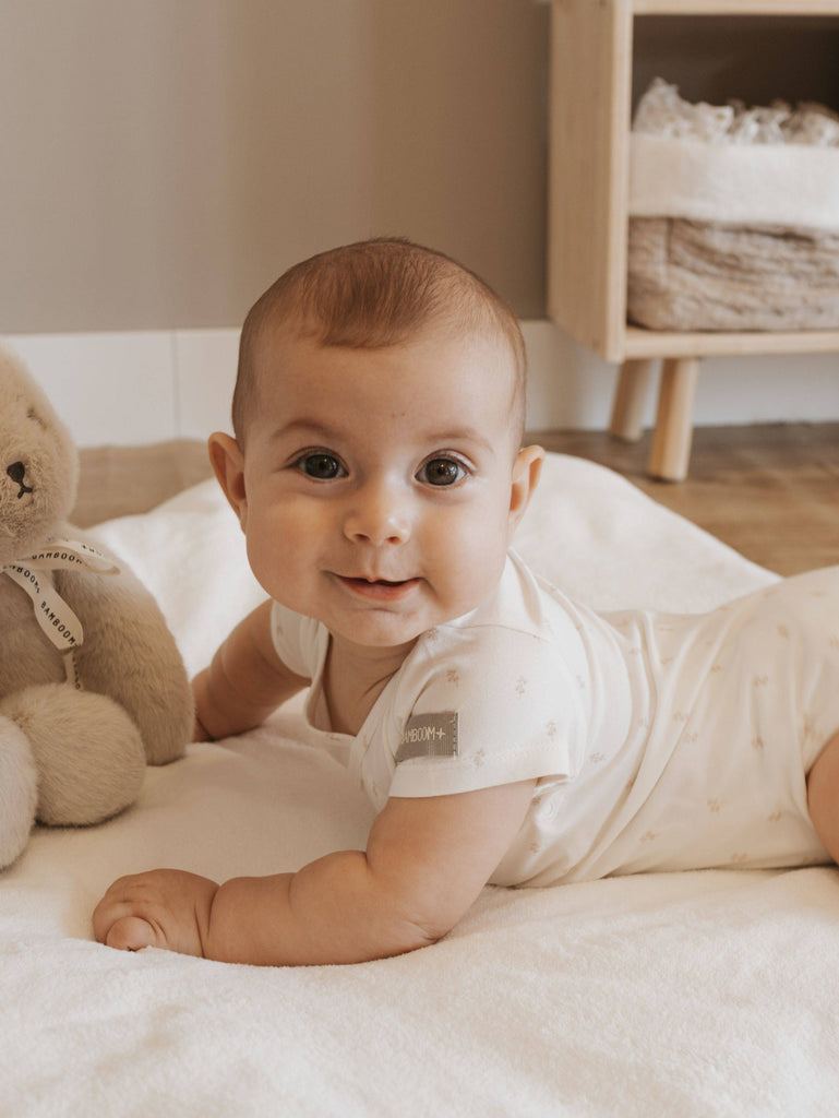 f88b3a9aac5594d11cc47f9f7f488373e6fc3b6f