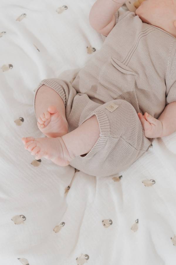 37f202ae7981d0d1b36164903bbae88a3acc9b9e