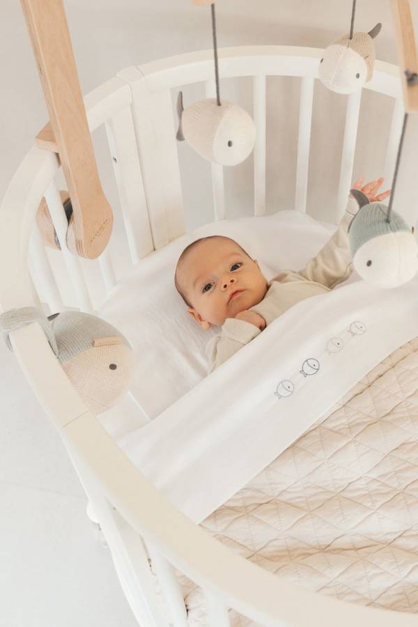 8aae4893611bede810197839ff424027b13d5e15